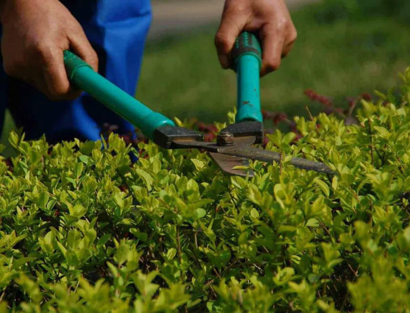 園林綠化養(yǎng)護(hù)服務(wù)